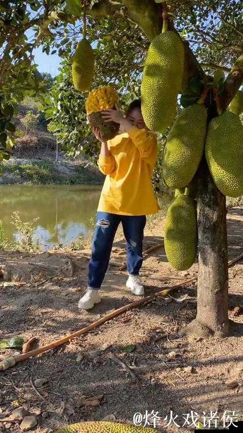 畅享菠萝蜜视频精彩视频在线观看体验