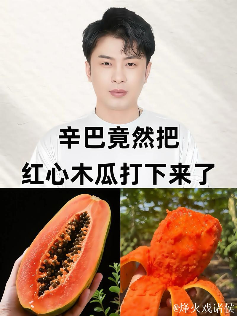 揭秘抖音网红瓜:背后的惊人福利真相 揭秘抖音网红瓜:背后的惊人福利真相