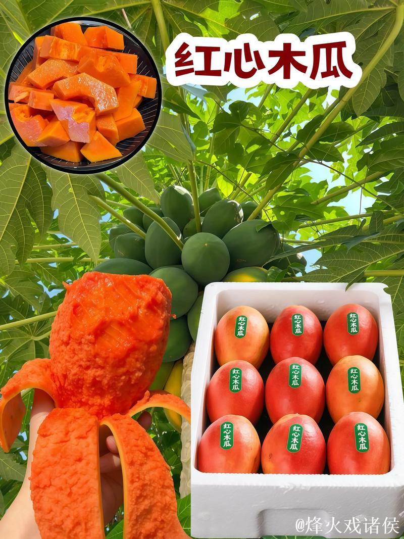 揭秘抖音网红瓜:背后的惊人福利真相 揭秘抖音网红瓜:背后的惊人福利真相